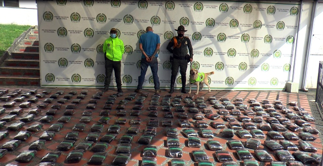 Incautamos-374-kilos-de-marihuana-ocultos-en-un-cultivo-de-frutas-y-verduras