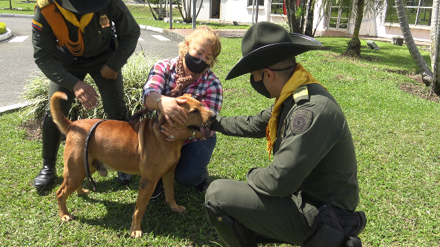 Este-canino-fue-encontrado-en-el-mes-de-Abril-en-condiciones-de-salud-lamentables-pero-hoy-tiene-un-nuevo-hogar
