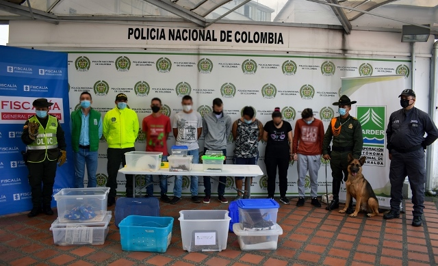 Policía-Metropolitana-de-Pereira-desarrolló-la-operación-Camaleón-en-pro-del-medio-ambiente
