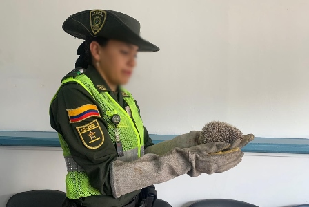 Gracias-a-los-controles-que-ejercen-las-unidades-adscritas-a-la-policía-ambiental-y-ecológica 