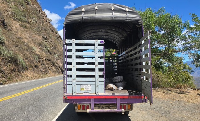 Camion incautado con insumos químicos