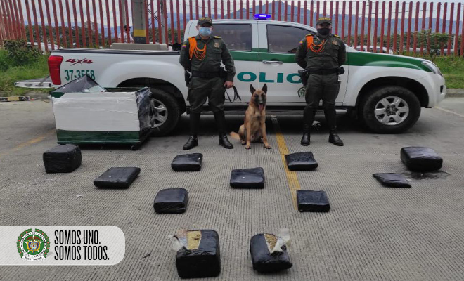 incautación de marihuana