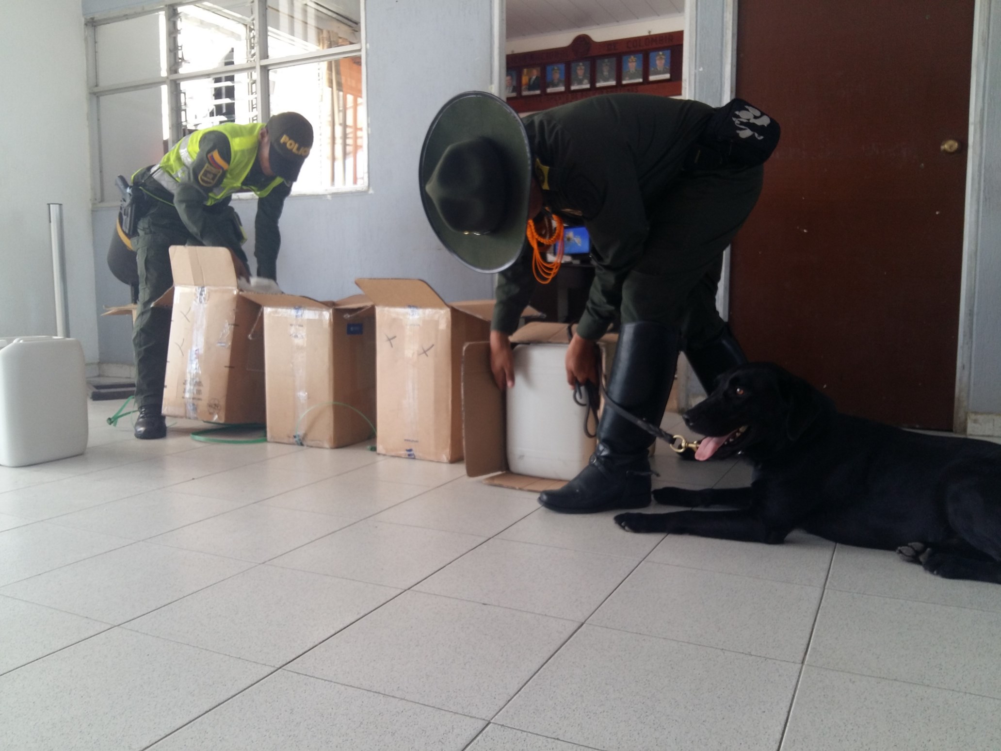 Control-de-guías-caninos