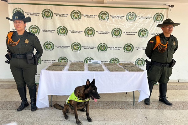 Dos Policías, canino ODHIL y mesa con estupefacientes
