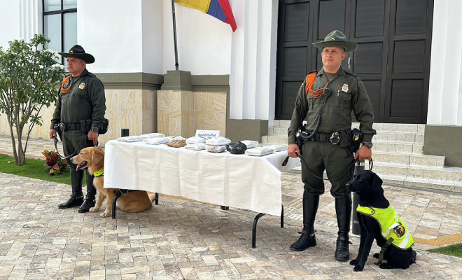 Carabineros con caninos custodiando estupefacientes incautados
