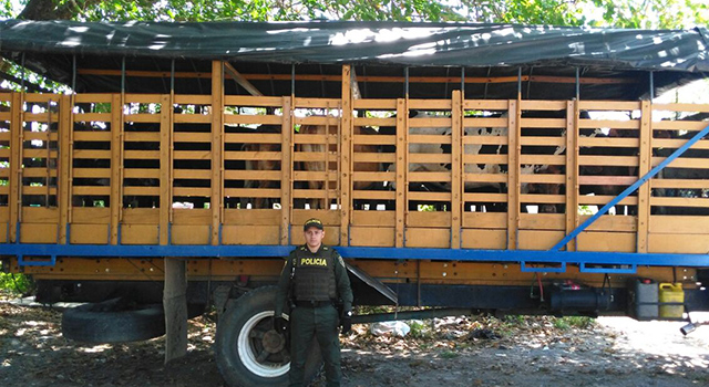 En controles viales-fueron incautados 34 semovientes sin documentos-policia-meta