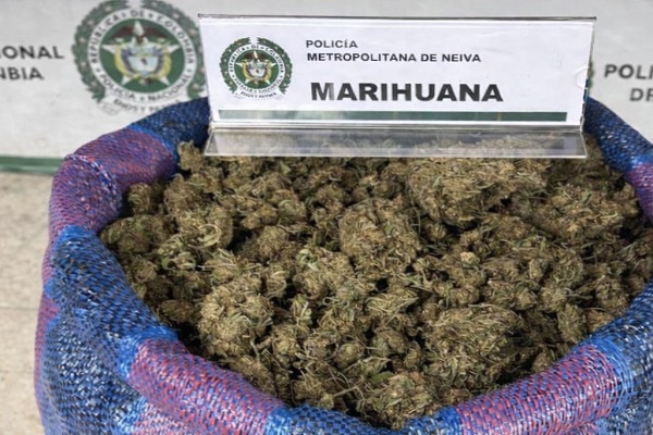 25 kilos de marihuana incautada en primer plano