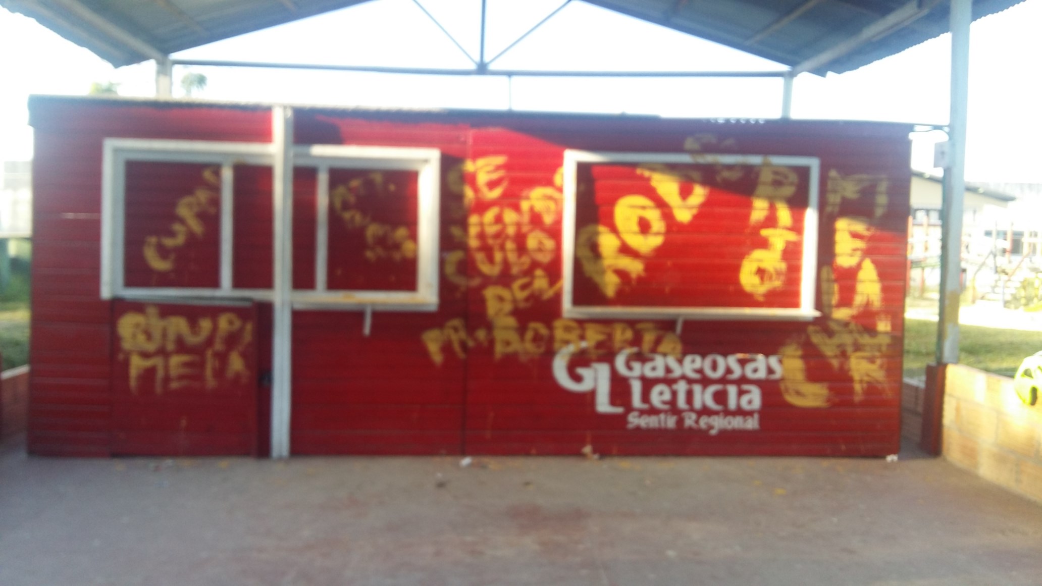 Con pintura mezclada con excremento humano pintaron grafitis blasfemos en los muros de dos colegios de la ciudad 