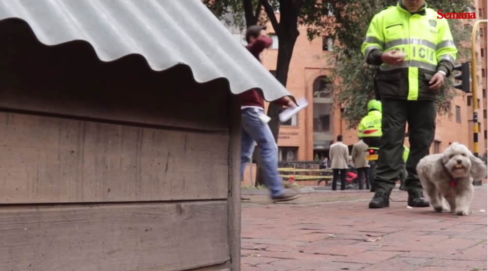 la-perrita-callejera-que-trabaja-en-un-cai-oxxi-de-bogota.jpg 