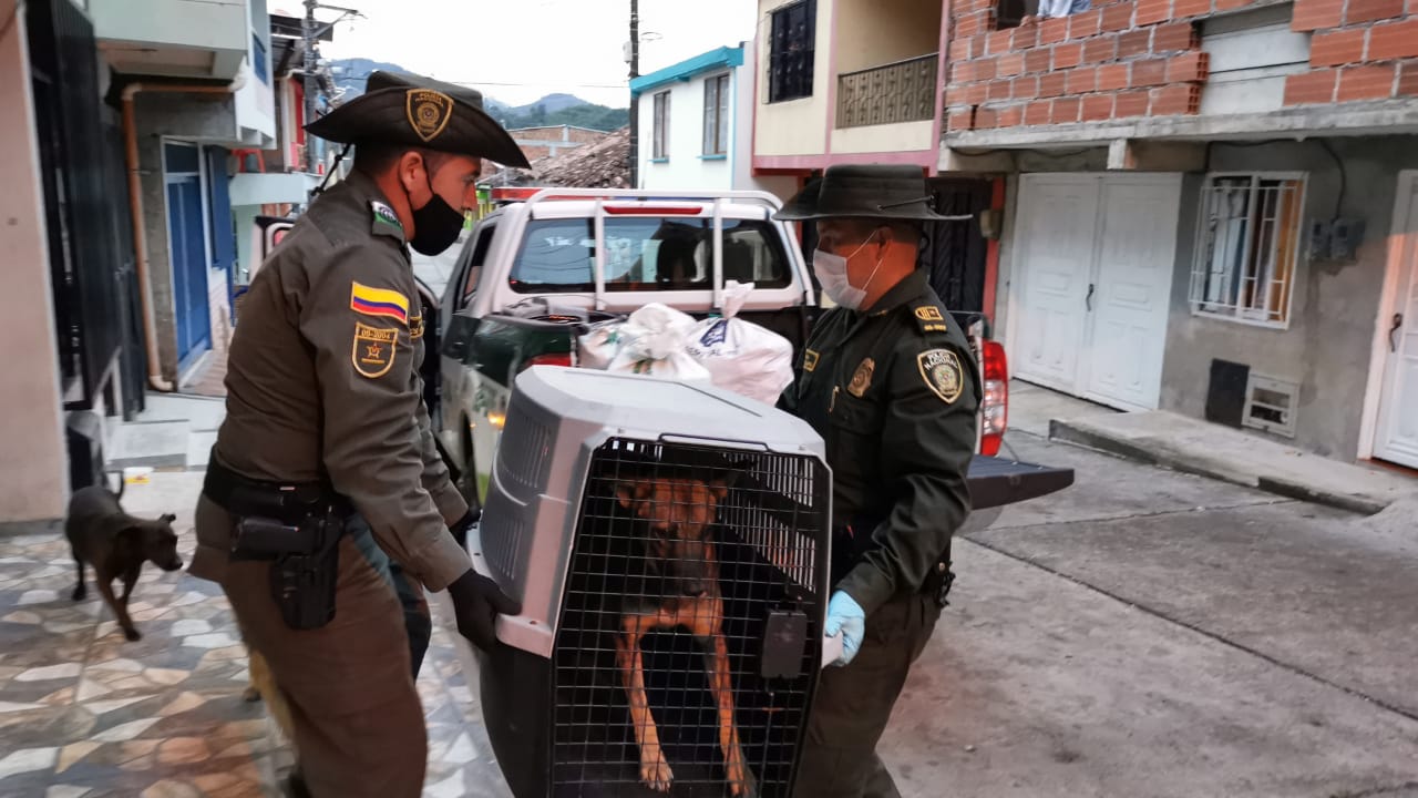 LosHeroesDeLosAnimalesTambienExisten3