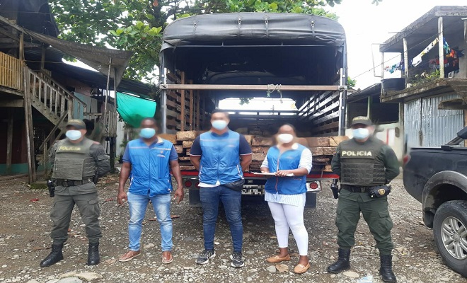 No paran los operativos para frenar la tala de árboles y el tráfico ilegal de madera