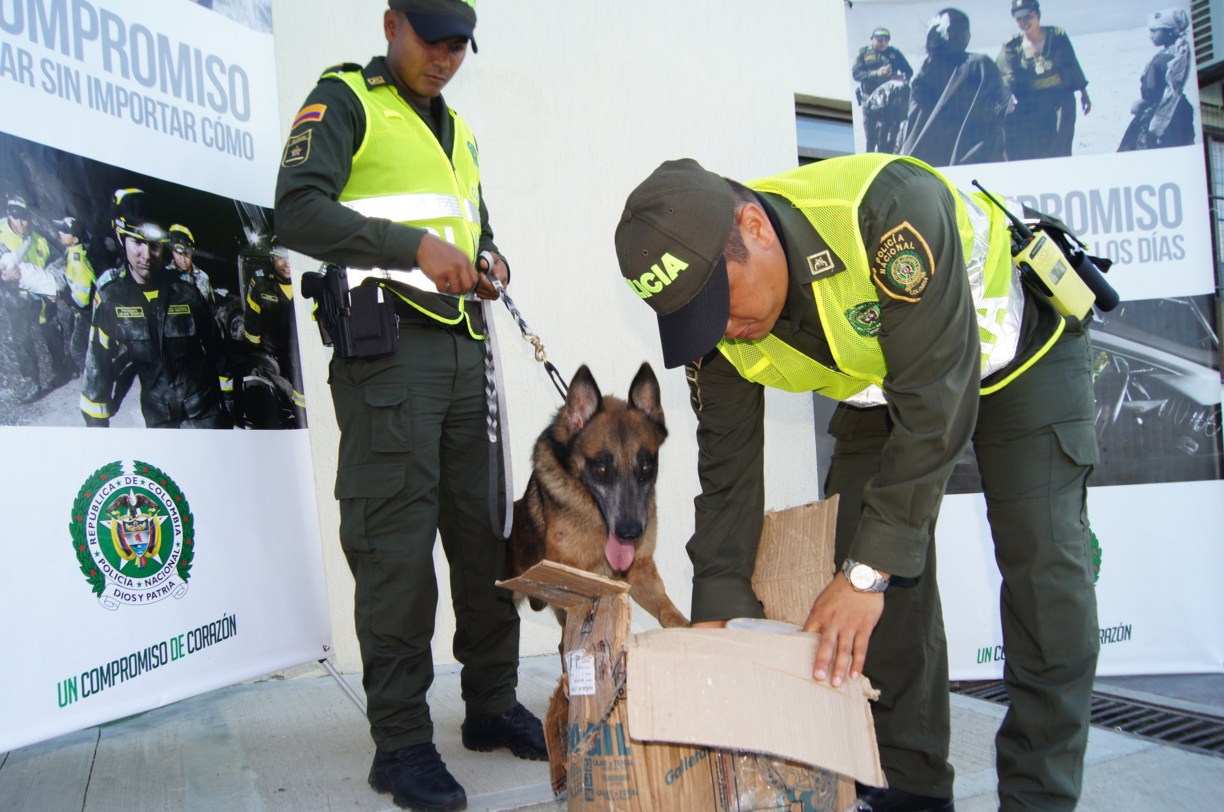 Controles con guías caninos