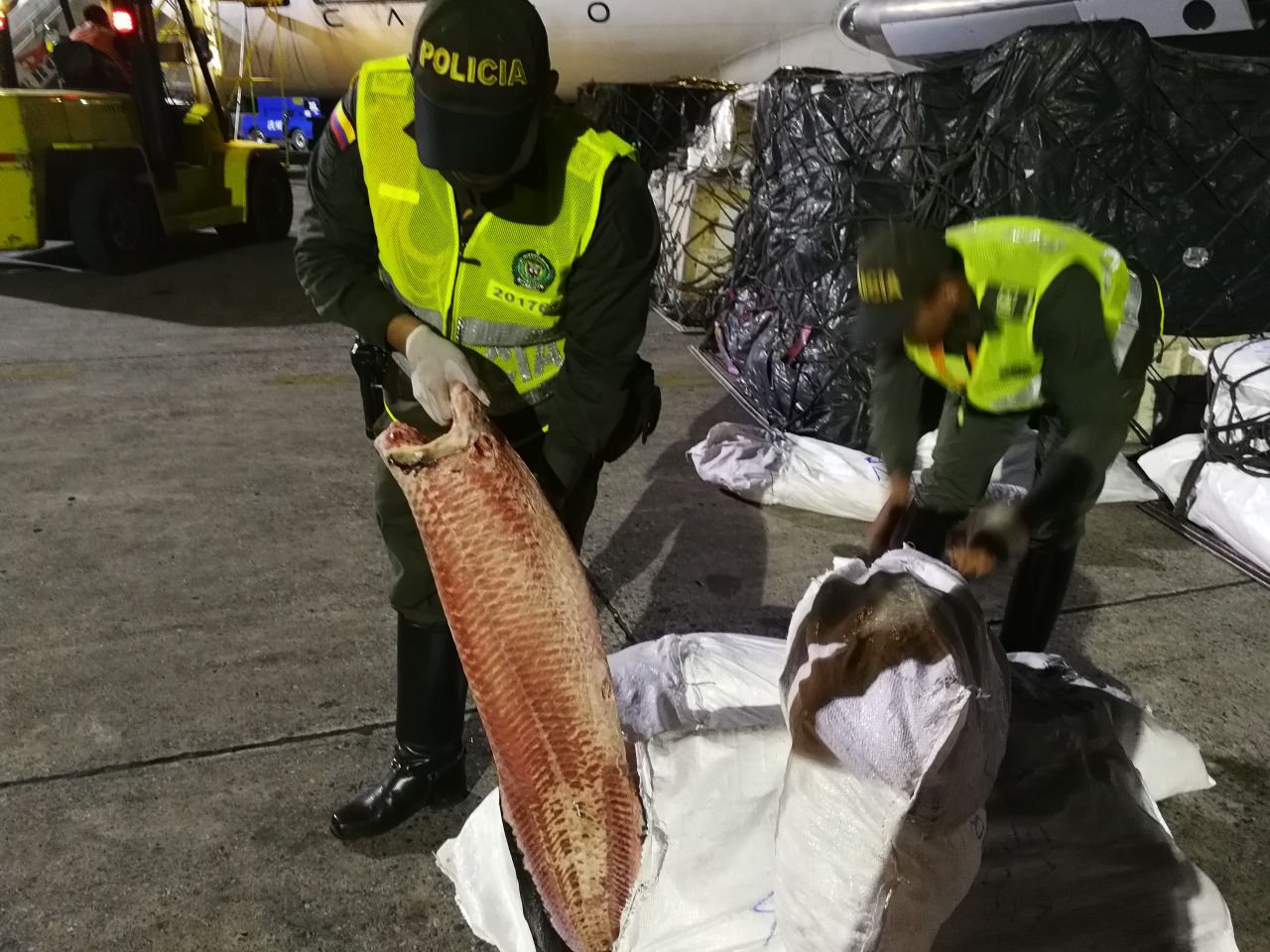 Control de talla mínima exigida  