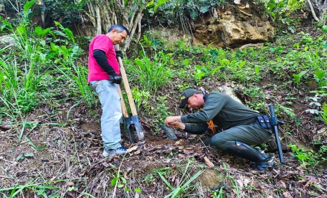 destacando la importancia de los árboles para la conservación de los ecosistemas y la calidad de vida de las comunidades.