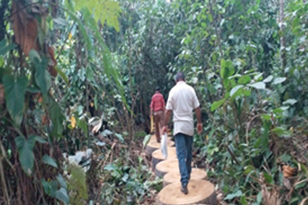 Estas personas fueron sorprendidas en flagrancia afectando las zonas verdes del humedal de Aguas Claras