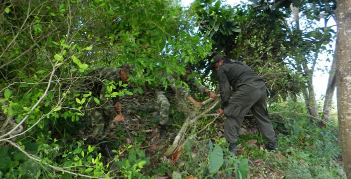 policia-destruye-laboratorio-cultivo-coca-santa-marta-colombia