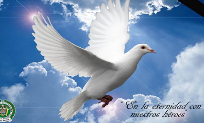 Imagen de condolencias con un fondo de cielo y al frente un paloma blanca