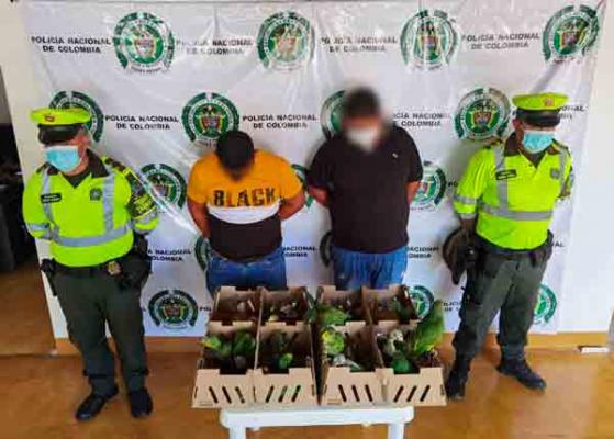 policia-madgalena-medio-aves-setra