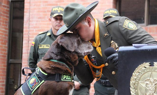 policia-nacional-colombia-codigo-nacional-de-policia-y-convivencia-tenencia-de-mascotas