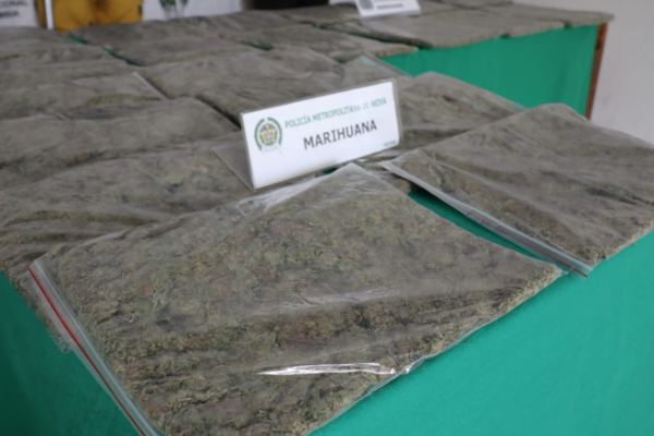 Incautan marihuana 