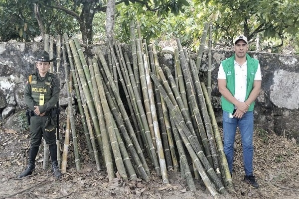 Policíy funcionario de la CAM exhiben la incautación de 163 tarros de guadua