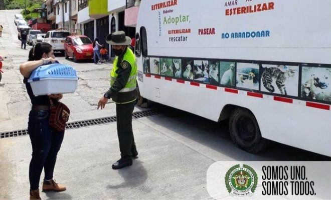 Realizamos jornada de esterilización de mascotas