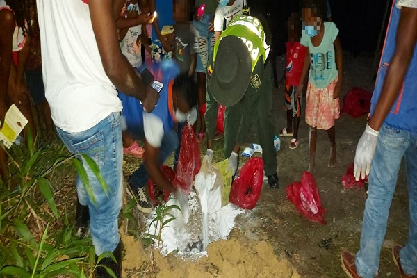 Recolectamos-42-kilos-de-caracol-gigante-Africano