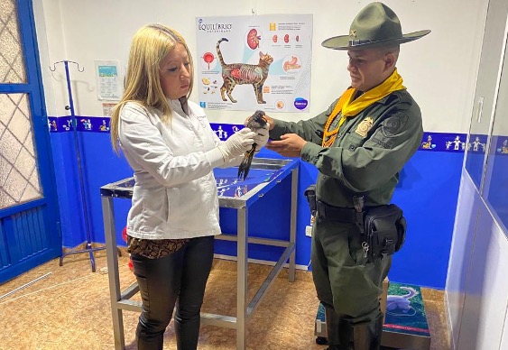 Acciones ambientales en pro del bienestar animal.