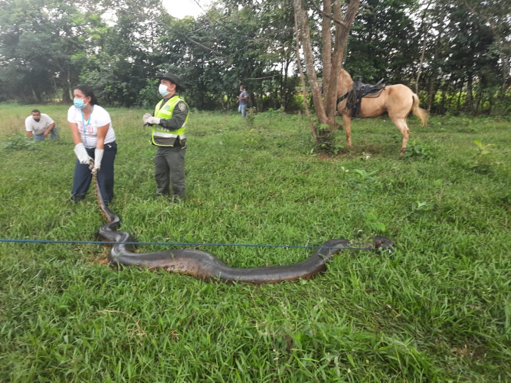  rescate_anaconda3