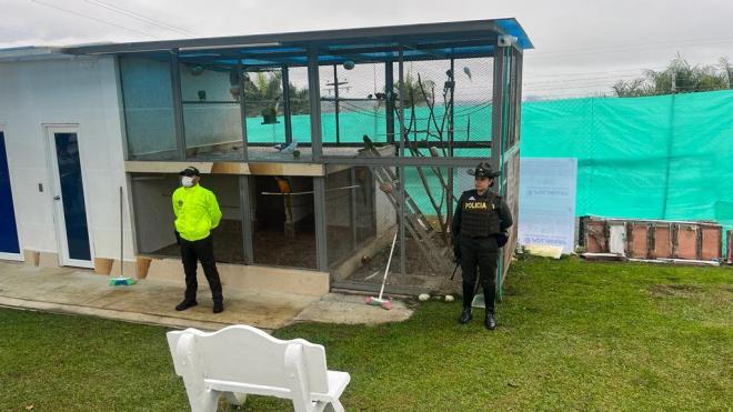 Rescatados animales en cautiverio 