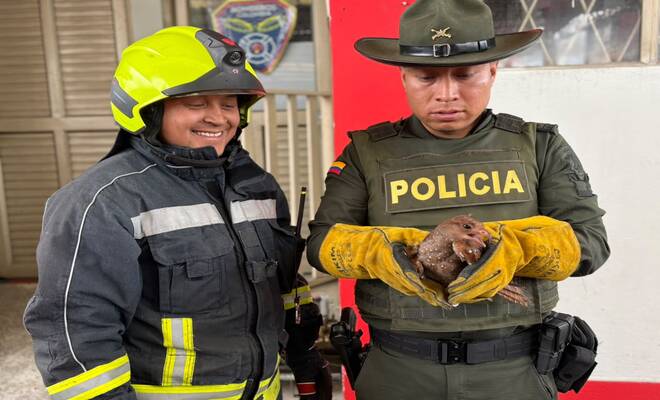 Un Policía y un bombero con un chotacabras rescatado