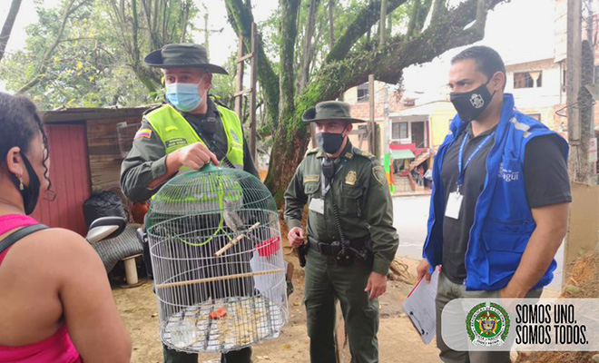 Seguimos trabajando por la protección  de la fauna silvestre