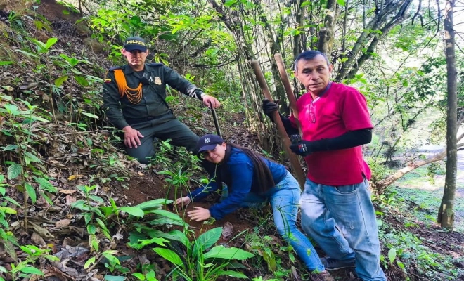 En el Día Mundial del Árbol, la institución destacó la importancia de conservar los ecosistemas e hizo un llamado a la ciudadanía para prevenir la tala ilegal y participar en acciones de reforestación.