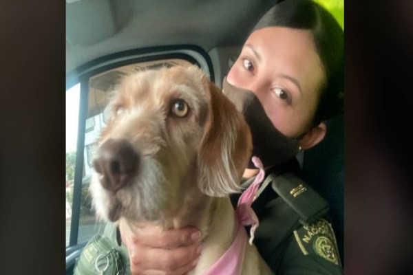 teniente-rescata-perro