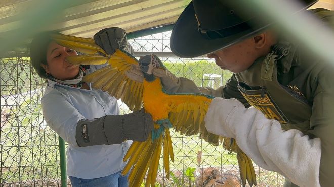 un polic&iacute;a con un guacamayo y una ciudadana
