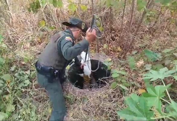 Grupo de Protección Ambiental y Ecológica