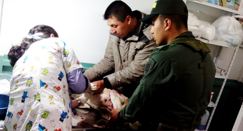 270815-rescate-perro-herido-putumayo