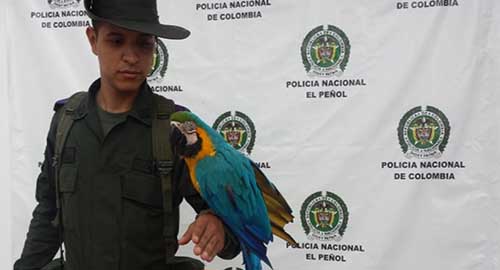 240415-ambiental-rescate-ave-narino