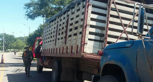 recuperacion-ganado-cesar