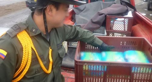 comercializacion_carnes