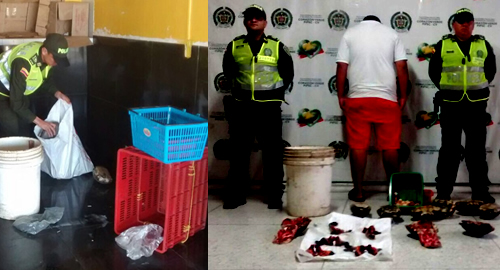 Policía Nacional-captura-ambiental-especies