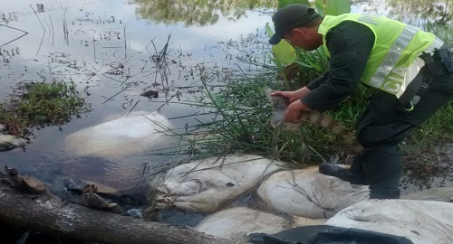 121214-meta-rescate-animales