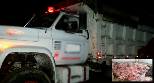 carne-incautada-bovino-mal estado