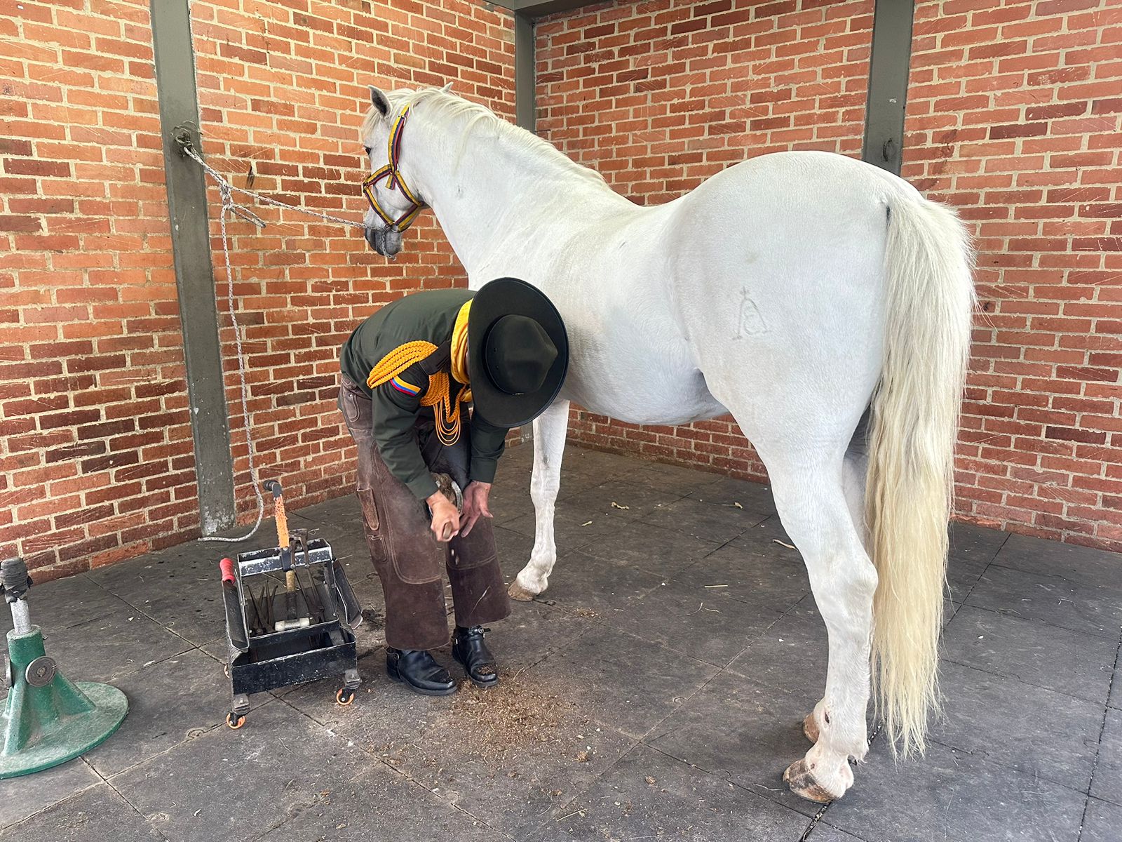 MARISCAL DE HERRERIA